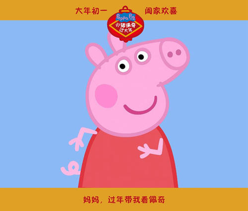 个人所得税不动产权证编号是哪个
